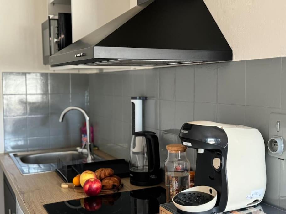 Le Muretain Parking Gartuit Apartment Muret