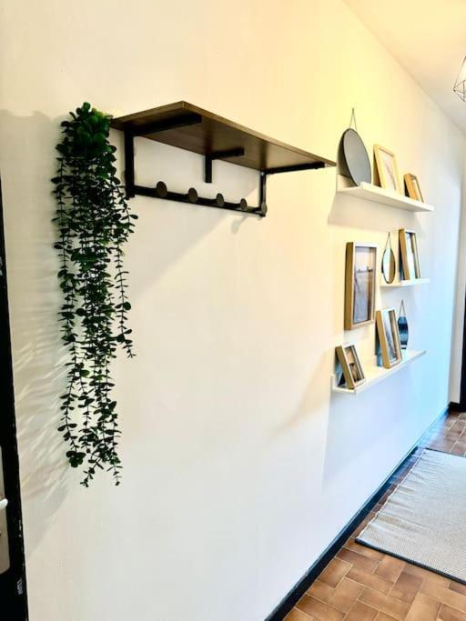 Apartment Le Muretain Parking Gartuit Muret